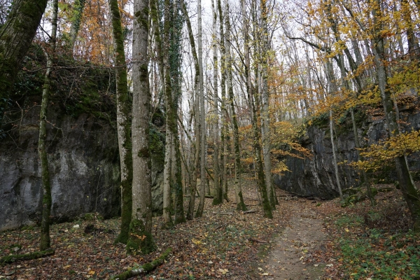 Randonnée idyllique à travers le Churz- et le Langloch jusqu'à Schaffhouse