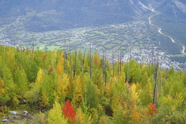 Zone d’incendie de forêt au-dessus de Loèche