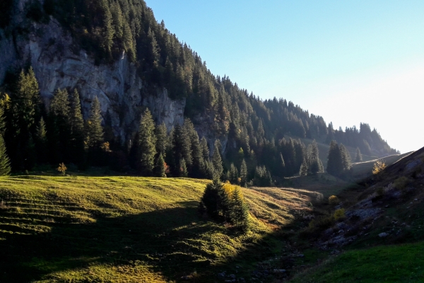 Rundwanderung von Boltigen zum Walopsee BE