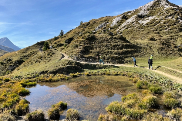 Von der Mondlandschaft an der Lenk