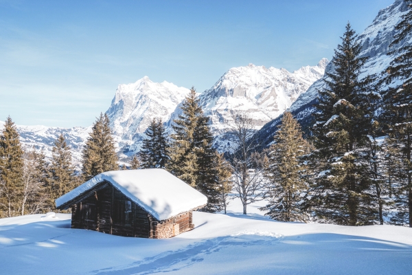 Eiger und Wetterhorn im Blick BE