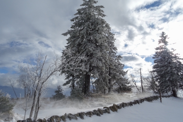 Schneeschuhtour auf dem Grenchenberg