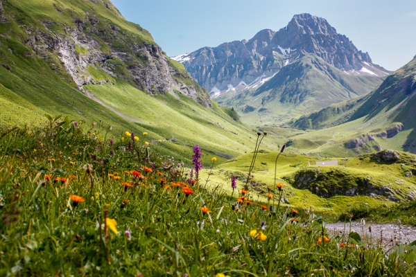 Le col de Surenen