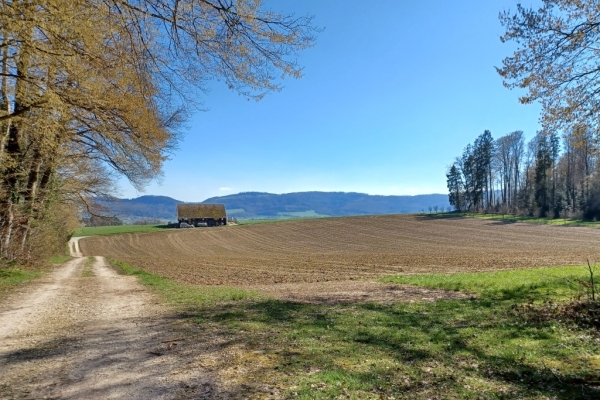 Herbst in der Ajoie