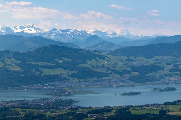 Un’intera giornata nell’Oberland zurighese