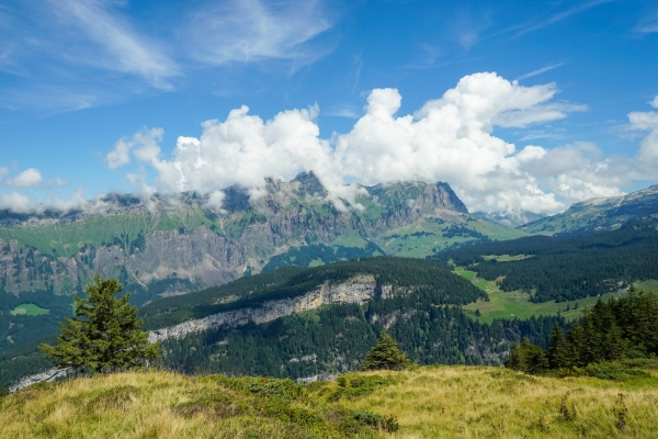 Entre les vallées de Bisistal et de Muotatal