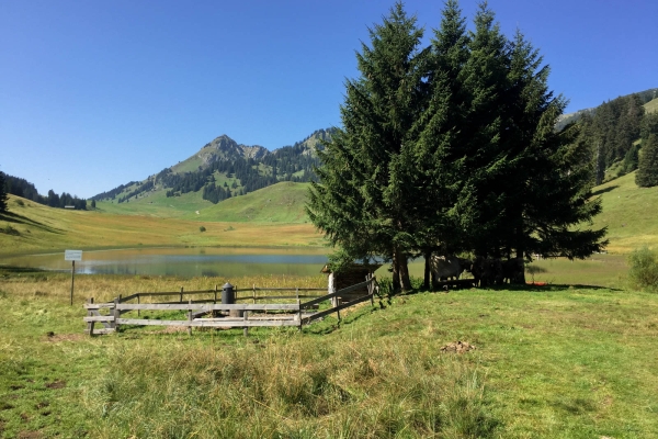 Baignade et col de Windenpass