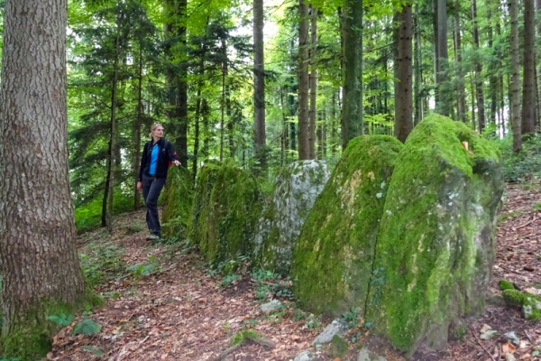 Les mégalithes du Säuliamt zurichois