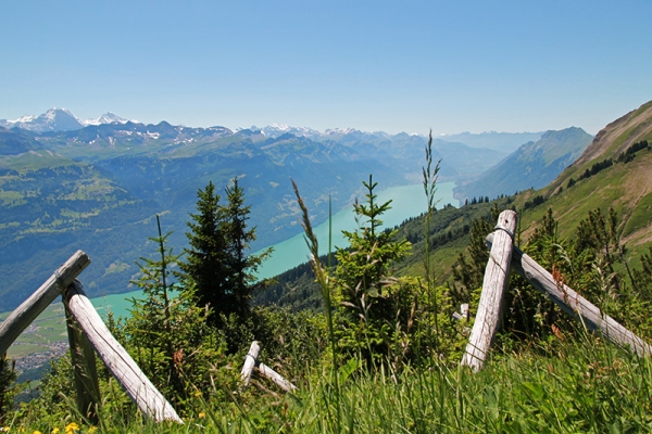 Dem Brünig entgegen 2