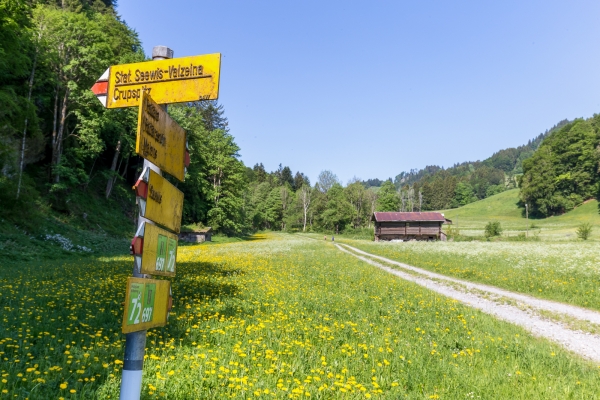 Über den Crupspitz von Seewis nach Malans