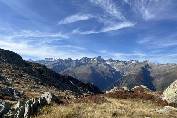 Brudelhorn: Bergwanderung mit Weitsicht im Goms