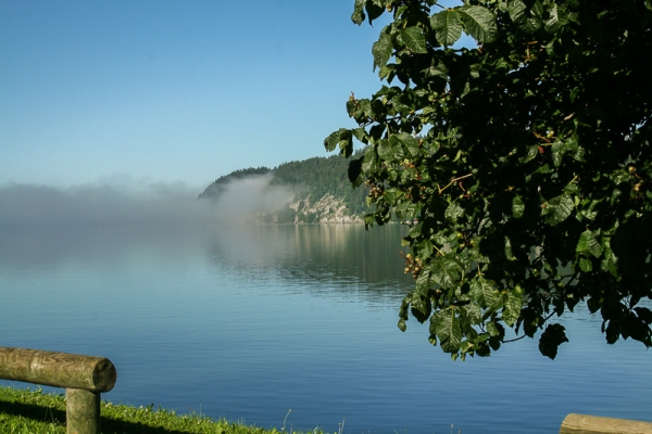 Des rives du Lac de Joux... 