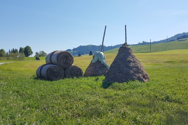 Dalla torbiera alta all’abbazia di Einsiedeln