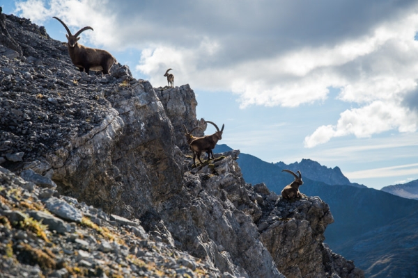 Sportlich ums Schiesshorn