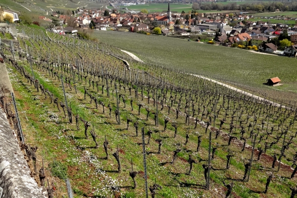 De St-Blaise à Le Landeron