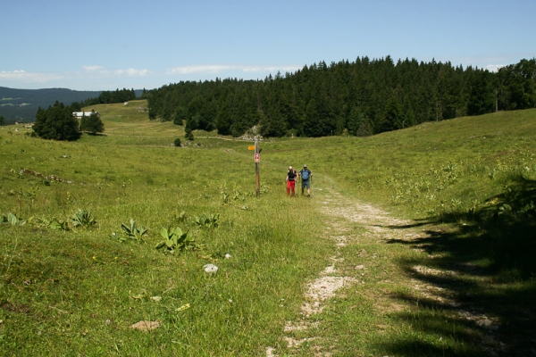 Des rives du Lac de Joux... 