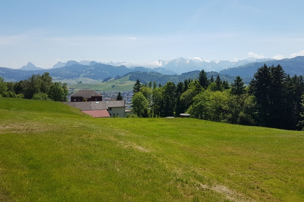 Dalla torbiera alta all’abbazia di Einsiedeln