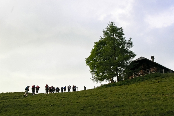 À travers d'un trésor naturel