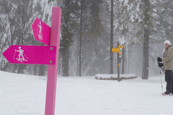 Aussichtsreiche Schneeschuhtour im Jura