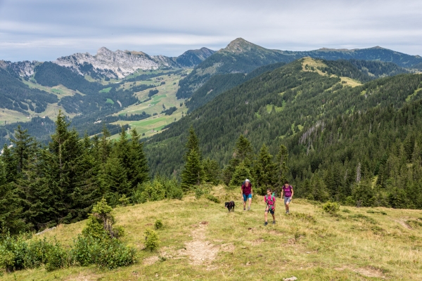 Douce randonnée d’altitude