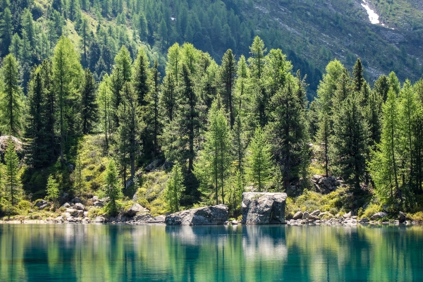 Seenwanderung im Val da Camp