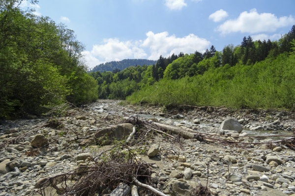 De belles vues dans les Préalpes fribourgeoises