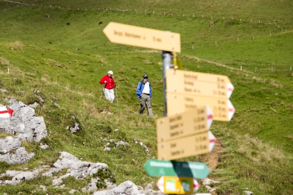 Le sentier d’observation de la faune