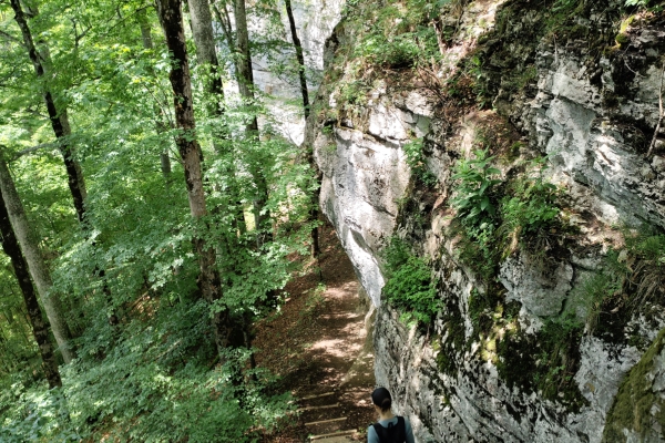 Les hauts du Jura, un paysage varié