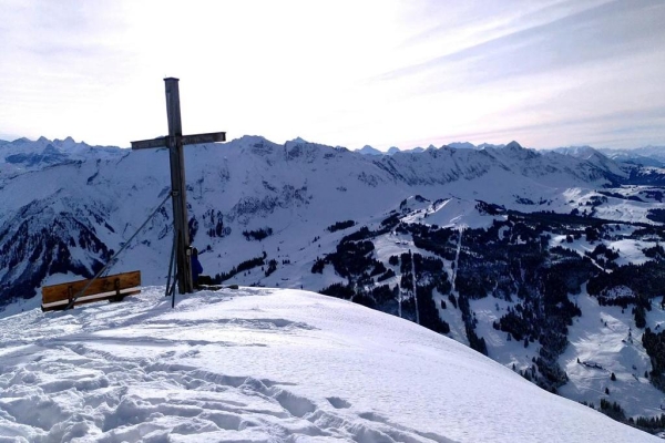 Übers Hochmoor auf den Aussichtsberg