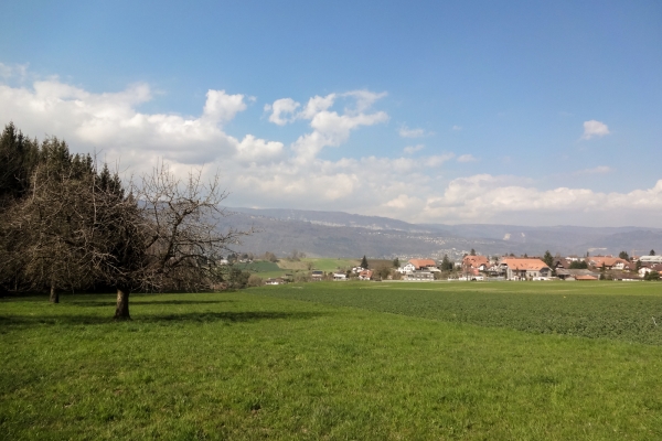 Au sud du lac de Bienne