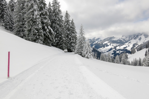 La crête du Bäderegg sous la neige