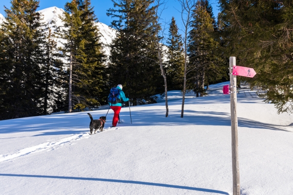 Schneeschuhtraum auf Gitschenen UR