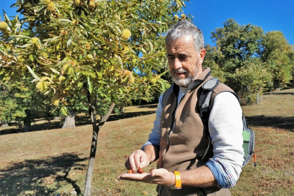 Randonnée dans le Malcantone