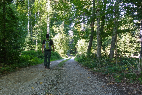 Dal villaggio rurale alla città sull’Emme