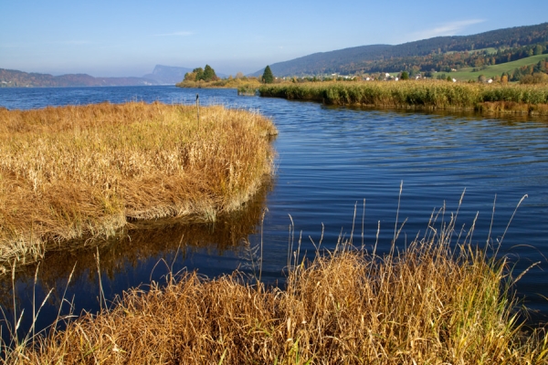 An den Ufern des Lac de Joux