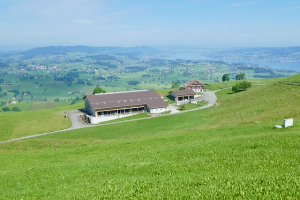 Hüttnersee (***/T1) --> Verschiebedatum: 29.9.2024