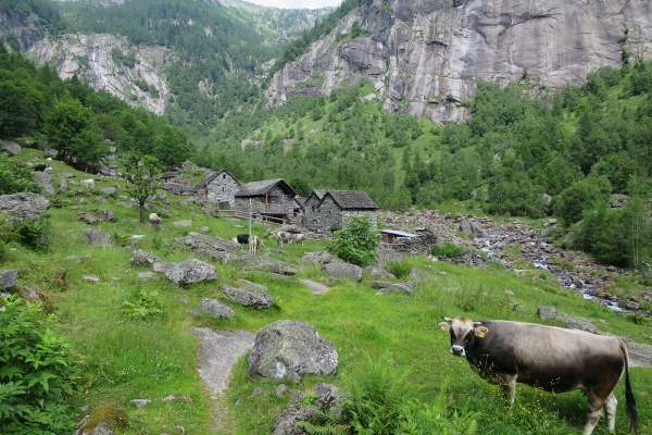 Les montagnes ancestrales du Tessin