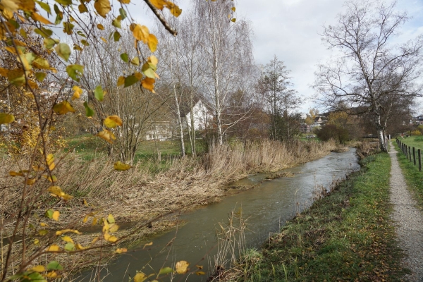 Idyllische Wanderung durchs Churz- und Langloch nach Schaffhausen