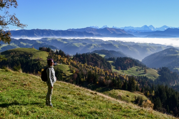 L’Emmental sous son plus beau jour