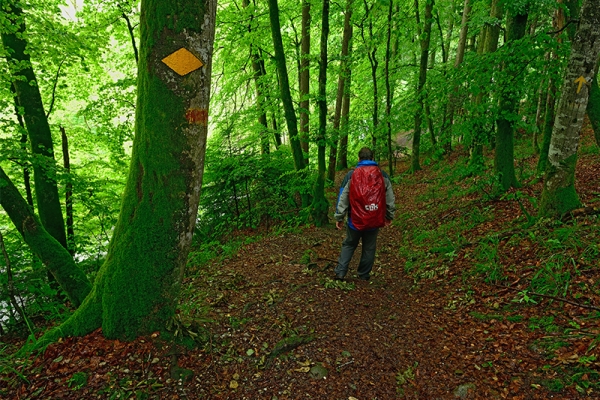 Der wilden Aubonne entlang