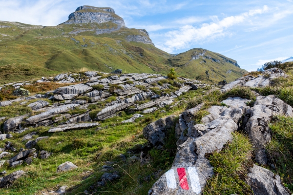 Tour des quatre lacs au cœur de la Suisse