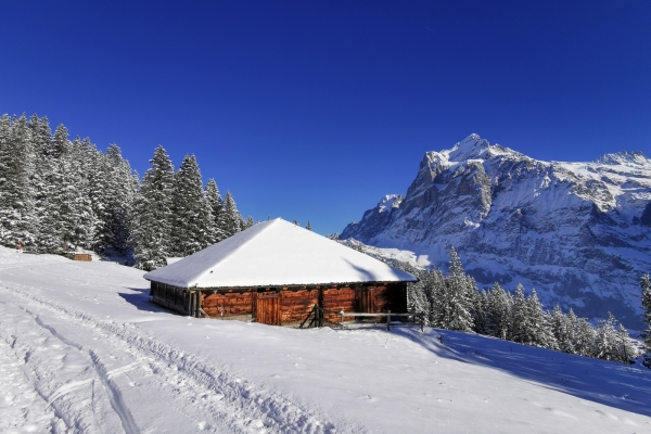 Am Sonnenhang von Grindelwald