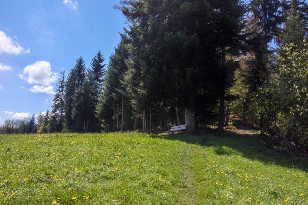 Montée vers le soleil dans la région du Napf