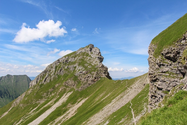 Steile Aufstiege im Blütenparadies