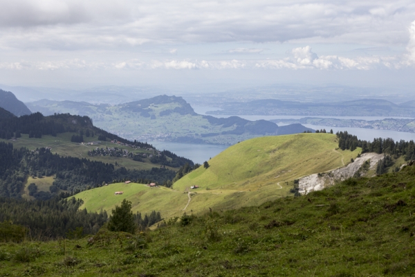 Auf dem Nidwaldner Wildbeobachtungspfad