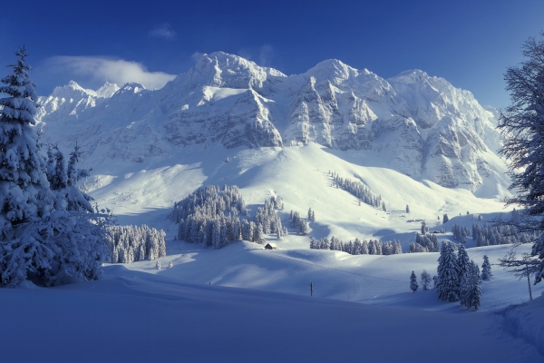 De colline en colline en Appenzell