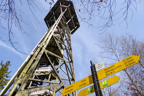 Il Y A Un Carillon éolien Suspendu à Un Arbre Dans La Forêt Ai Générative