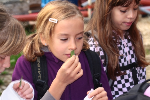 Animations pédagogiques en pleine nature