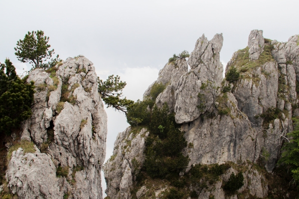 Rochers dentelés et forêts dans le Val Colla TI