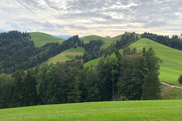 Halbtageswanderung Drei Tausender